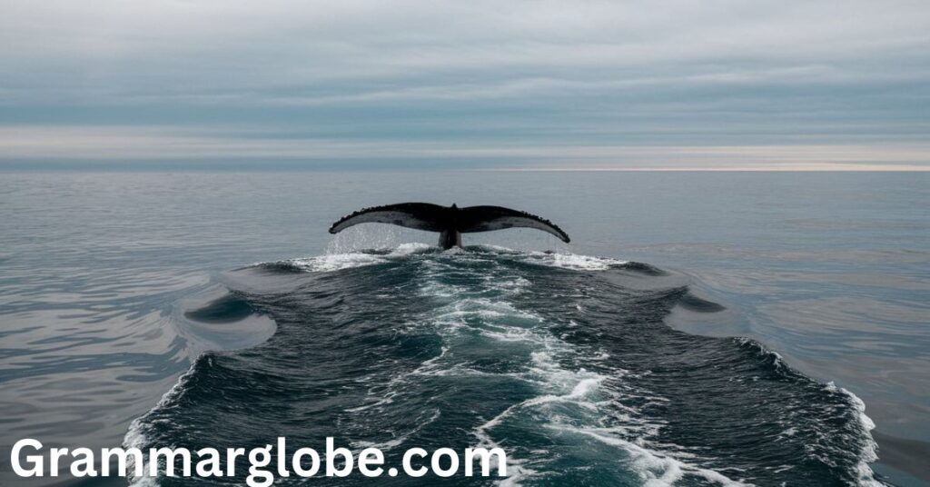 A Whale of a Time: Tail of Two Meanings