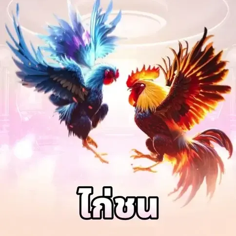 cockfight th